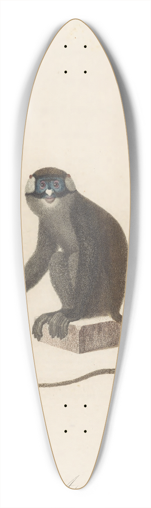 Jean-Baptiste Audebert - LAscagne 39.3 inch art pintail longboard deck