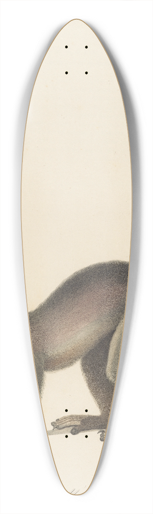 Jean-Baptiste Audebert - Le Mococo 39.3 inch art pintail longboard deck