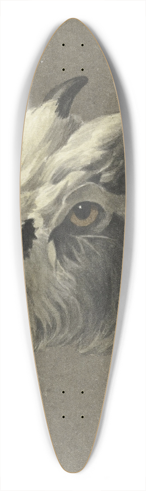 Jean Bernard - Kop van een geit, naar links 39.3 inch art pintail longboard deck