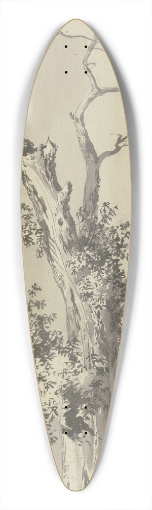Jean-Jacques de Boissieu - Tree with leafless treetop 39.3 inch art pintail longboard deck