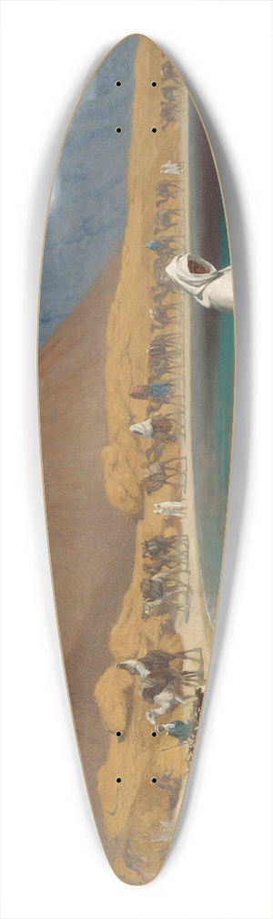 Jean-Lon Grme - The Gulf of Aqaba 39.3 inch art pintail longboard deck
