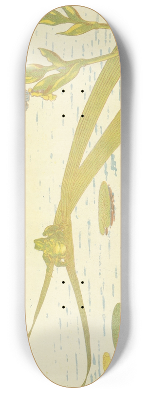 Charles-Louis Houdard - Grenouilles 8.25 inch art skate deck Charles-Louis Houdard - Grenouilles 8.25 inch art skate deck