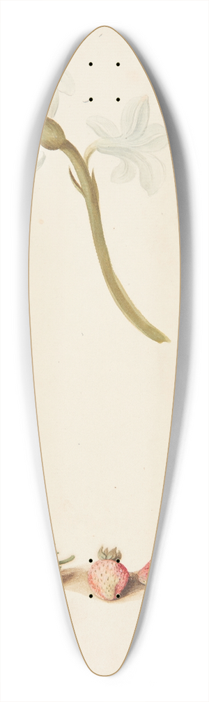 Johanna Fosie - Studie af blomst og jordbr 39.3 inch art pintail longboard deck Johanna Fosie - Studie af blomst og jordbr 39.3 inch art pintail longboard deck