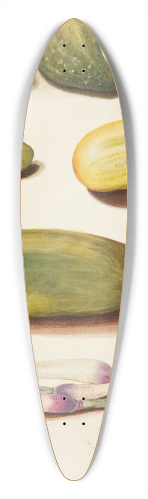 Johanna Fosie - Studie af grntsager 39.3 inch art pintail longboard deck Johanna Fosie - Studie af grntsager 39.3 inch art pintail longboard deck
