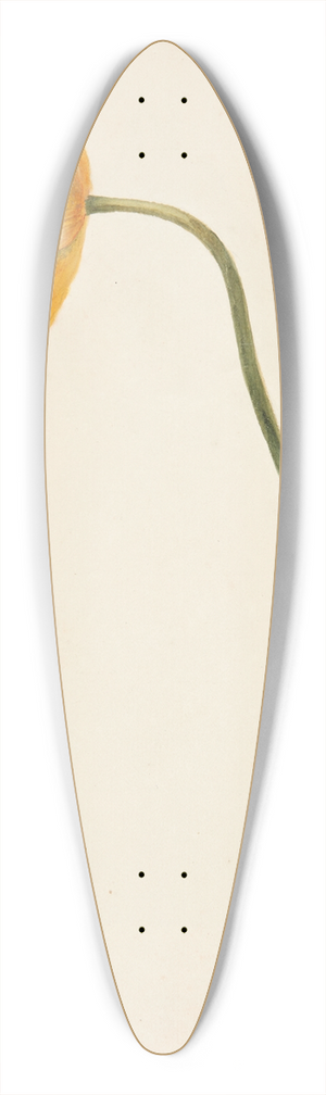 Johanna Fosie - Studie af gul tulipan 39.3 inch art pintail longboard deck Johanna Fosie - Studie af gul tulipan 39.3 inch art pintail longboard deck