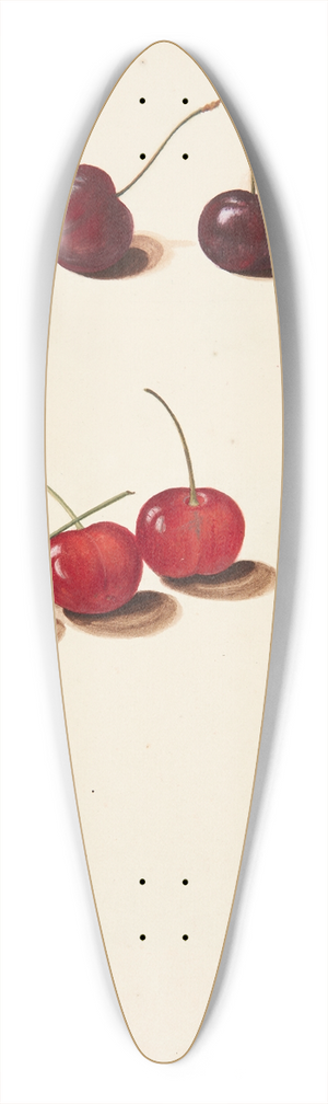 Johanna Fosie - Studie af kirsebr 39.3 inch art pintail longboard deck Johanna Fosie - Studie af kirsebr 39.3 inch art pintail longboard deck