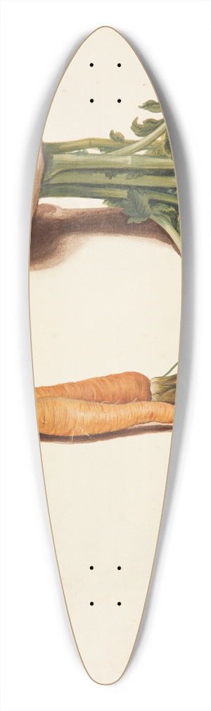 Johanna Fosie - Studie af majroe og gulerdder 39.3 inch art pintail longboard deck Johanna Fosie - Studie af majroe og gulerdder 39.3 inch art pintail longboard deck