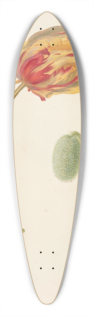 Johanna Fosie - Studie af tulipan og andre blomster 39.3 inch art pintail longboard deck Johanna Fosie - Studie af tulipan og andre blomster 39.3 inch art pintail longboard deck
