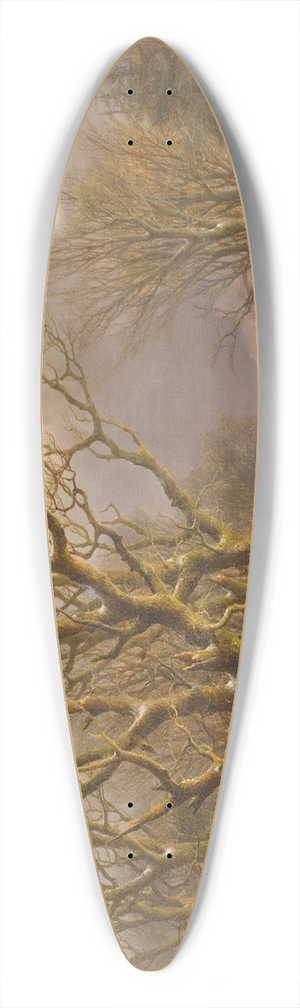 Johann Bernhard Klombeck - Winter Time 39.3 inch art pintail longboard deck
