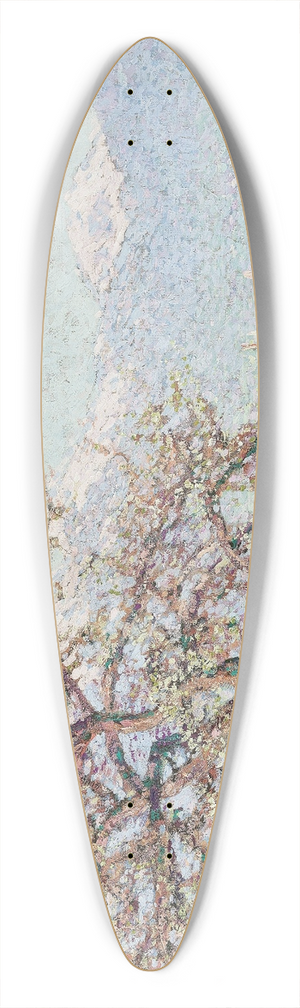 Johann Charles Palmi - Blick auf Dornbirn 39.3 inch art pintail longboard deck