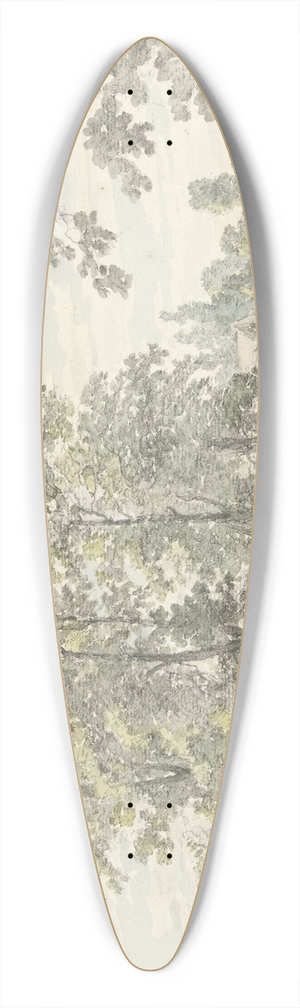 Johannes Jelgerhuis - Gezicht op de Biltstraat buiten Utrecht 39.3 inch art pintail longboard deck