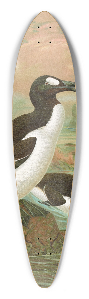 Johann Friedrich Naumann - Alca impennis L., Riesenalk 39.3 inch art pintail longboard deck