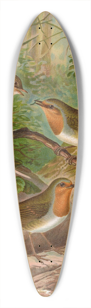 Johann Friedrich Naumann - Erithacus rubeculus 39.3 inch art pintail longboard deck