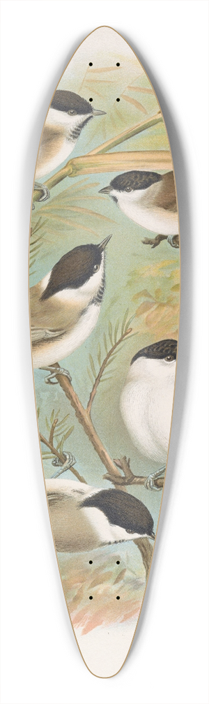 Johann Friedrich Naumann - Parus salicarius, montanus, borealis Liljeborg, Dresseri, meridionalis Liljeborg 39.3 inch art pintail longboard deck