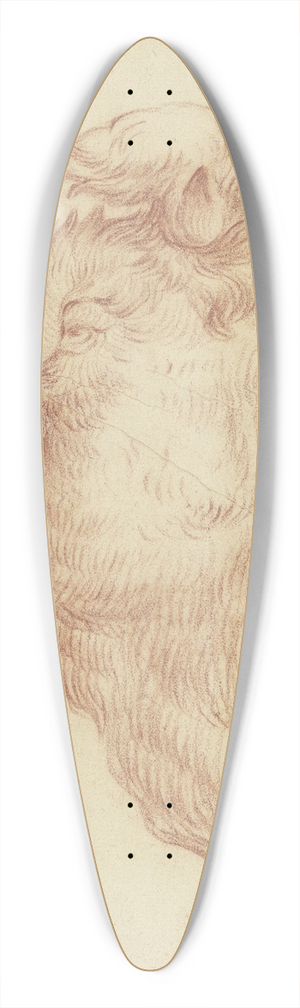 Johann Heinrich Roos - Stierkopf im Profil nach links 39.3 inch art pintail longboard deck