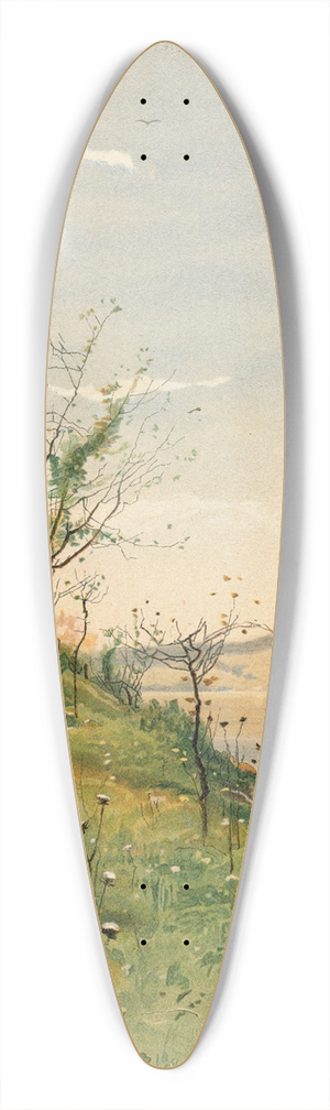 John Francis Murphy - Spring landscape 39.3 inch art pintail longboard deck