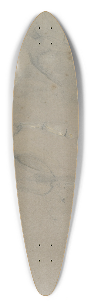 John Frederick Lewis - On Mount Sinai 39.3 inch art pintail longboard deck