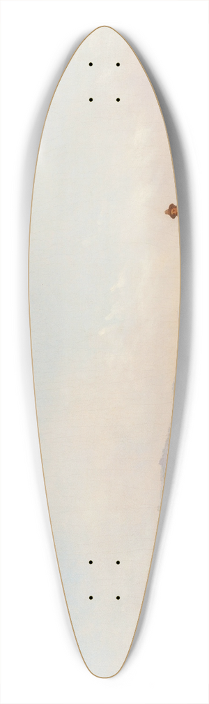 John Gadsby Chapman - Shepherds 39.3 inch art pintail longboard deck