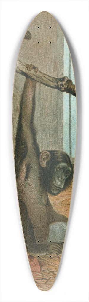 John George Wood - Chimpanzee. 39.3 inch art pintail longboard deck