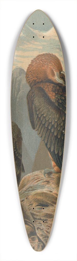 John George Wood - Lammergeyer 39.3 inch art pintail longboard deck