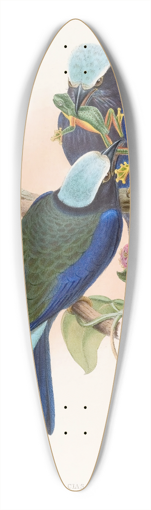 John Gould - Temmincks Roller 39.3 inch art pintail longboard deck
