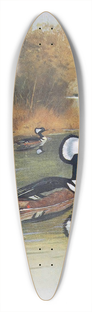 John Guille Millais - Hooded Merganser 39.3 inch art pintail longboard deck