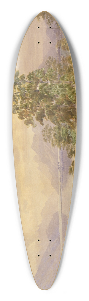 John Gully - Lake Te Anau 39.3 inch art pintail longboard deck John Gully - Lake Te Anau 39.3 inch art pintail longboard deck
