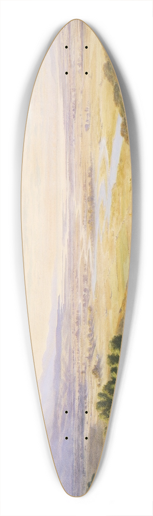 John Gully - Landscape, Nelson 39.3 inch art pintail longboard deck John Gully - Landscape, Nelson 39.3 inch art pintail longboard deck