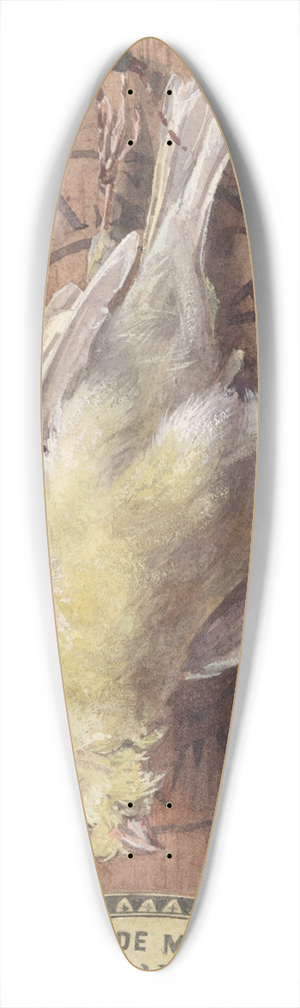 John Haberle - Trompe LOeil; YellowCanary 39.3 inch art pintail longboard deck