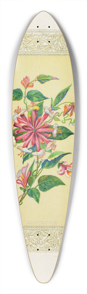 John Henry Ingram - Honeysuckle 39.3 inch art pintail longboard deck