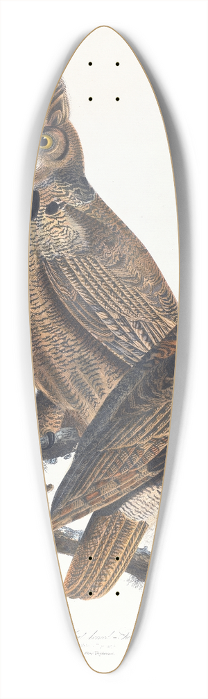 John James Audubon - Great horned-owl 39.3 inch art pintail longboard deck