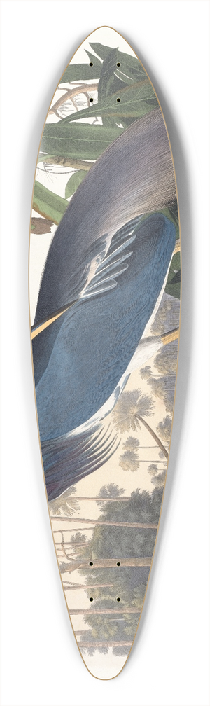 John James Audubon - Louisiana heron 39.3 inch art pintail longboard deck