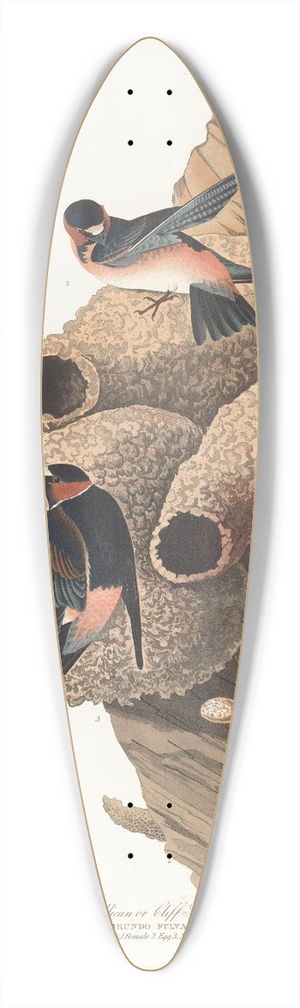 John James Audubon - Republican or cliff swallow 39.3 inch art pintail longboard deck