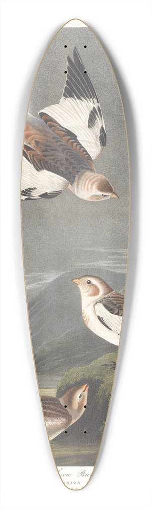 John James Audubon - Snow bunting 39.3 inch art pintail longboard deck