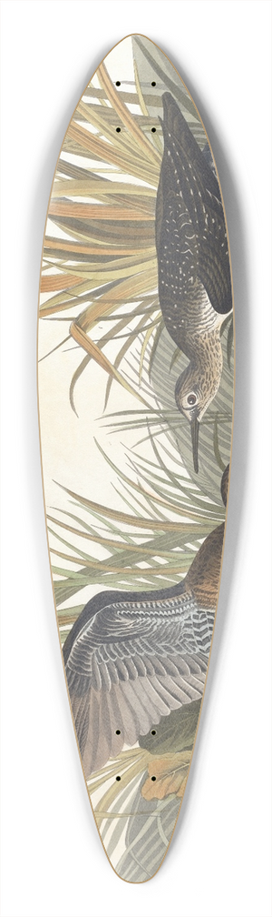 John James Audubon - Solitary sandpiper 39.3 inch art pintail longboard deck