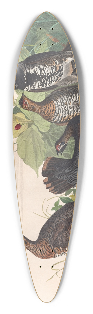 John James Audubon - Spotted grous 39.3 inch art pintail longboard deck