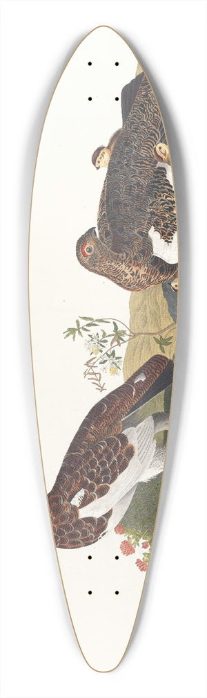 John James Audubon - Willow grous or large ptarmigan 39.3 inch art pintail longboard deck
