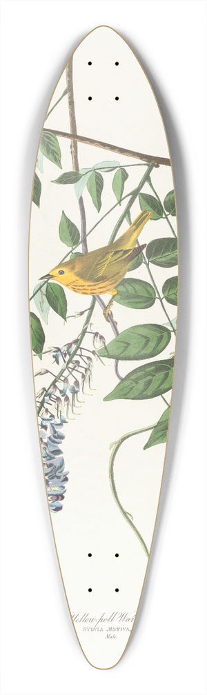 John James Audubon - Yellow-poll warbler 39.3 inch art pintail longboard deck