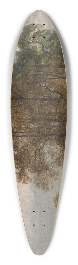 John Martin - Hyde Park 39.3 inch art pintail longboard deck