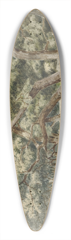 John Mix Stanley - A CottonwoodGrove 39.3 inch art pintail longboard deck