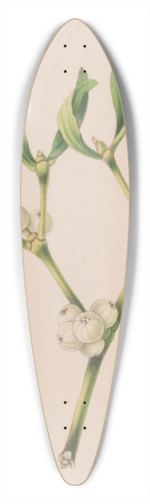 John Stevens Henslow - Christmas Rose 39.3 inch art pintail longboard deck