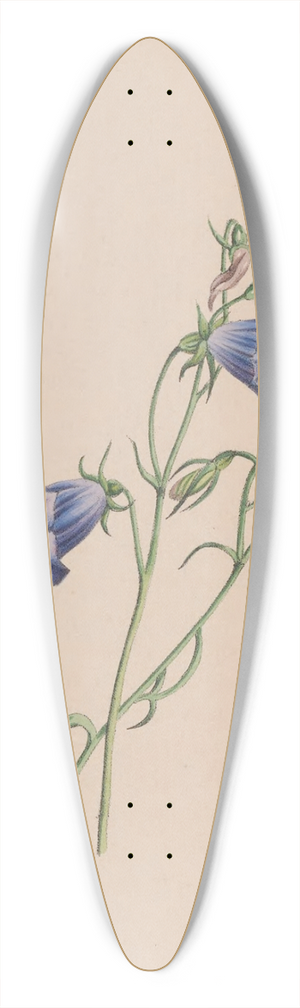 John Stevens Henslow - Everlasting 39.3 inch art pintail longboard deck