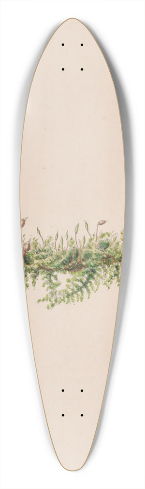 John Stevens Henslow - Mistletoe 39.3 inch art pintail longboard deck