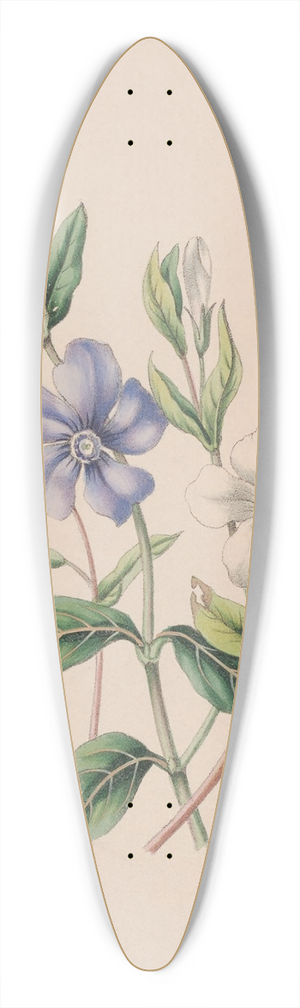 John Stevens Henslow - Periwinkle 39.3 inch art pintail longboard deck