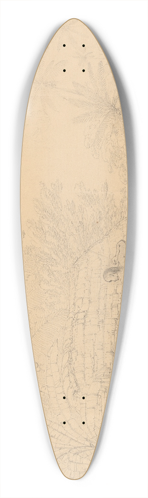 John Webber - A View in Annamooka 39.3 inch art pintail longboard deck