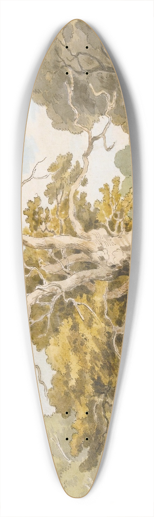 John White Abbott - An Oak At Kedleston Hall, Derbyshire 39.3 inch art pintail longboard deck