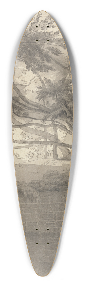 John White Abbott - Trees Overhanging a Lake 39.3 inch art pintail longboard deck