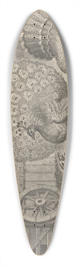John Wootton - Fable XI. The Peacock, the Turkey, and the Goose 39.3 inch art pintail longboard deck