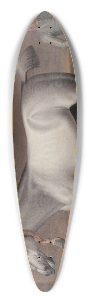 John Wootton - The Duke of Hamiltons Grey Racehorse Victorious at Newmarket 39.3 inch art pintail longboard deck