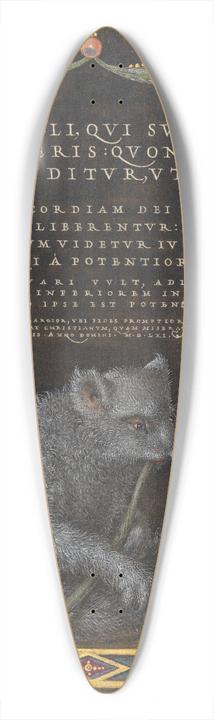 Joris Hoefnagel - A Sloth 39.3 inch art pintail longboard deck Joris Hoefnagel - A Sloth 39.3 inch art pintail longboard deck